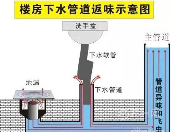 看 上图,整栋楼的下水都是通过主管道向下进入大的城市下水道的